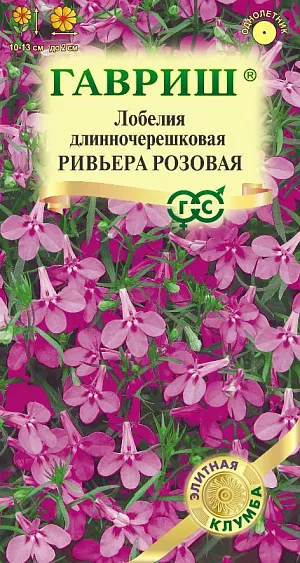 Семена Лобелия Ривьера Розовая из каталога Лобелия Южное многолетнее растение, отлично растет и обильно цветет в нашей зоне как однолетнее. Ультраранняя серия лобелий Ривьера, зацветает в среднем на 2 недели раньше, чем аналогичные сорта, отличается чистыми яркими оттенками, компактным ростом и продолжительным периодом декоративности. Шарообразные кусты высотой 10-13 см, усыпанные мелкими белоснежными цветами, изумительно смотрятся на газоне в виде объемных цветочных островков. В сочетании с сортами Ривьера синяя и Ривьера розовая растения высаживают в виде пышного разноцветного бордюра, украшают края цветников и контейнеров. Продолжительность и обильность цветения увеличиваются при своевременном удалении отцветших стеблей. Размножают семенами, посев которых производят в феврале - апреле. Для равномерности посевов семена смешивают с сухим песком в соотношении 1:50 и не заделывают.