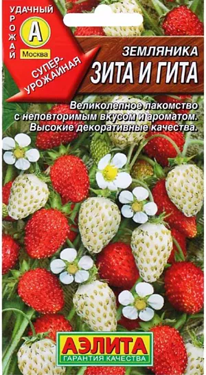 Семена Земляника (клубника) Зита и Гита, смесь Семена Земляника (клубника) Зита и Гита, смесь