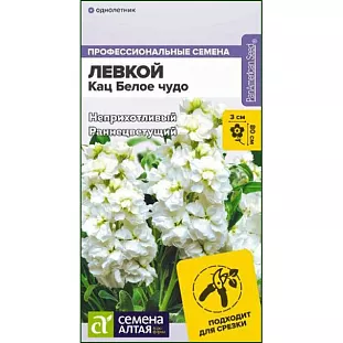 Левкой махровый Кац Белое чудо