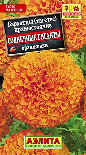 <div>
 Семена Бархатцы Солнечные гиганты оранжевые.
</div>
 Однолетник. Высота 90 см. Диаметр 15 см.<br>
 Высокорослые бархатцы с непревзойденно крупными густомахровыми соцветиями диаметром 13-15 см. Кусты до 90 см в высоту, мощные, ветвистые, с множеством крепких цветоносов. Не заваливаются под воздействием дождя и ветра. Растения неприхотливые, не требовательные к почвам. Используются в групповых и одиночных посадках, на заднем плане смешанных цветников, в высоких бордюрах. Один из лучших сортов бархатцев для срезки, соцветия стоят в воде до 15 дней.<br>
Посев. Выращивают рассадным способом. В фазе одного – двух настоящих листьев сеянцы пикируют. Рассаду высаживают в открытый грунт, когда минует опасность заморозков. Растениям необходимы регулярные поливы, прополки, рыхления и подкормки. Возможен посев семян в открытый грунт на глубину 1 см.