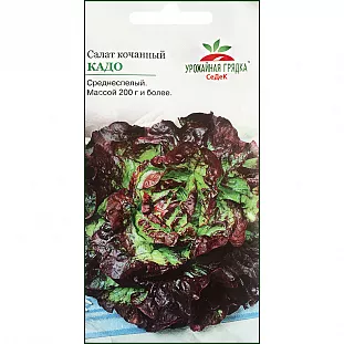 Семена Салат кочанный Кадо