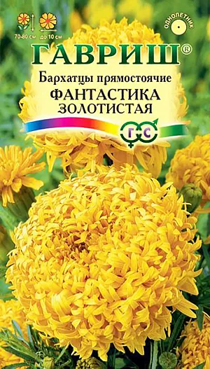 Бархатцы Фантастика Золотистая прямостоячие из каталога Бархатцы Семена Бархатцы Фантастика Золотистая прямостоячие.
Уникальный сорт с исключительными по своей красоте и оригинальности соцветиями золотисто-желтого оттенка.
Прямостоячий куст высотой 70-80 см, устойчив к непогоде и не полегает.
Первые соцветия появляются на растениях уже в июне и цветение продолжается до заморозков.
Смесь особенно рекомендуется для создания высоких рабаток, бордюров и срезки.
Бархатцы светолюбивы и теплолюбивы, заморозков не переносят, к почвам нетребовательны, но предпочитают плодородные легкие почвы.
Посев на рассаду проводят во второй половине марта-начале апреля. Всходы появляются через 4-8 дней после посева, сеянцы пикируют в фазе 2-го настоящего листа.
Рассаду высаживают в начале июня с расстоянием между растениями 30-35 см.
Посев в открытый грунт проводят в мае на глубину 1,5-2 см.