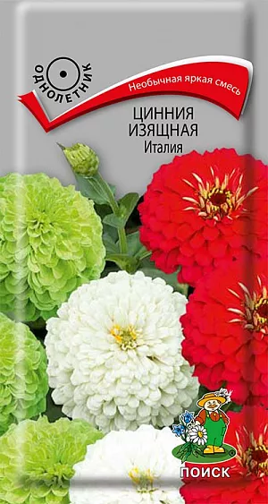 Семена Цинния изящная Италия. Своё название сорт получил благодаря окрасу. Необычная яркая смесь из зелёного, белого и красного цветов внешне напоминает итальянский флаг. В высоту растение может достигать 90 см. Имеет крепкие, устойчивые стебли с развитым ветвлением, что позволяет ему лучше адаптироваться к внешним условиям, получая больше питательных веществ. Соцветия крупные, с махровой текстурой. По форме напоминают полусферы. Садовники оформляют циннию в групповых посадках и ландшафтных композициях. Также подходит и для срезки, хорошо дополняет букет.