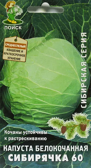 Семена Капуста белокочанная Сибирячка 60