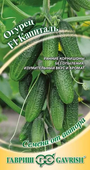 Семена Огурец Капитал F1