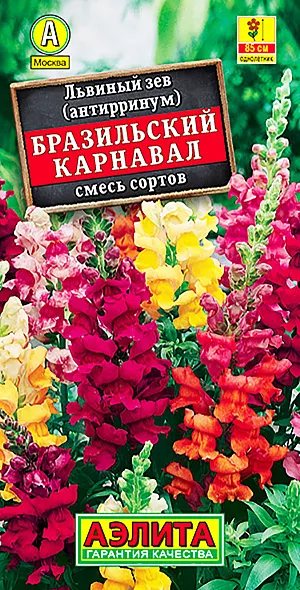 Семена Львиный зев Бразильский карнавал, смесь сортов из каталога Львиный зев Семена Львиный зев Бразильский карнавал смесь окрасок.
Высокорослая (75-85 см) смесь с обильным, продолжительным цветением. Кусты пирамидальные, мощные, с множеством цветоносов. Крупные ароматные цветки ø 3-4 см собраны в кистевидные соцветия. Растения неприхотливые, холодостойкие, используются для групповых и одиночных посадок на клумбах, в рабатках и миксбордерах. Отлично подходят для срезки, в воде распускаются все бутоны.
Агротехника. Выращивают через рассаду. Семена высевают поверхностно, без заделки, увлажняют из распылителя и накрывают стеклом для поддержания постоянной влажности
до всходов. В фазе одной пары настоящих листьев сеянцы пикируют. В фазе 4-5 пар листьев проводят формирующую прищипку. Высадку рассады в открытый грунт проводят
со второй половины мая. Посадки размещают на солнечных участках с плодородными, дренированными почвами.