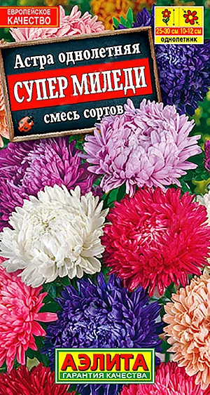 <div>
 Семена Астра Миледи смесь сортов.
</div>
 Низкорослая, обильноцветущая астра с крупными соцветиями ,диаметром 10-12 см. Растения компактные, хорошо разветвленные, высотой 25-30 см. Зацветают рано, пик цветения приходится на середину августа. Соцветия отличаются красивой, аккуратной формой, центр цветка плотно закрыт лепестками. Смесь рекомендуется для украшения балконов, окаймления садовых дорожек, для оформления цветников разных типов и стилей.<br>
 <br>
  Астра предпочитает солнечные участки с плодородными, дренированными, некислыми почвами. Недопустимо внесение навоза. Астру нельзя выращивать постоянно на одном месте, необходим перерыв в 4-5 лет. Возможен посев в открытый грунт ранней весной или под зиму.<br>
