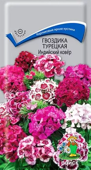 Гвоздика Турецкая Индийский ковёр из каталога Гвоздика Семена Гвоздика Турецкая Индийский ковёр. Кустик высотой 25 см. Листья линейно-ланцетные, зеленые. К концу 1-го года выращивания образуется розетка прикорневых листьев. На следующий год растения цветут с конца июня в течение месяца. Используют для сборных цветников, рабаток и для срезки.<br>
<br>
Агротехника. Растение холодо- и засухоустойчивое, предпочитает солнечное место, но может расти и в полутени. Хорошо растёт на плодородных дренированных почвах. Посев семян производят в мае-июне в открытый грунт на разводочные гряды, слегка присыпав их влажным песком. При температуре почвы +18-20°C всходы появляются через 10-14 дней. На постоянное место рассаду высаживают в августе, выдерживая расстояние между растениями 25-30 см