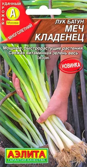 Семена Лук батун Меч Кладенец