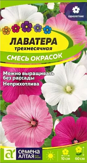 Лаватера Смесь окрасок из каталога Лаватера Семена Лаватера Смесь окрасок.<br>
Однолетнее нарядное ландшафтное растение высотой до 60 см. Великолепная смесь высокорослых сортов, одно из любимых растений цветоводов. Ветвистое растение с воронковидными цветками до 10 см в диаметре ярко-белой, розовой и карминно-розовой окраски. Отличительная черта – обильное и продолжительное цветение, невзыскательность к условиям выращивания. Великолепно смотрится в одиночных и групповых посадках, а также в миксбордерах. Цветущие побеги можно срезать и использовать в букетах. Неприхотлива, засухоустойчива и холодостойка, выдерживает небольшие заморозки. Предпочитает открытые солнечные участки, прекрасно растет на любых типах почв. Цветет с июля до осенних холодов. Для стимуляции образования новых бутонов отцветшие побеги удаляют.<br>
<br>
Выращивают прямым посевом семян в грунт на разводочные гряды в мае. Глубина заделки семян 0,5-1 см. При температуре почвы +18°C всходы появляются через 7-14 дней. Через 2 недели их рассаживают по схеме 25х30 см.