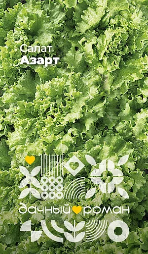 Семена Салат Азарт Семена Салат Азарт