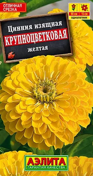 Семена Цинния Крупноцветковая желтая из каталога Цинния Семена Цинния Крупноцветковая желтая.
Высокорослая, обильноцветущая цинния с яркими махровыми соцветиями O 13-15 см. Кусты быстрорастущие, мощные, высотой 70-90 см, с множеством цветоносов. Цветение раннее и продолжительное, с июня до окончания сезона. Каждое соцветие держится на растении до 30 дней. Циннии неприхотливые, теплолюбивые, достаточно засухоустойчивые, предпочитают солнечное местоположение. Широко используются для выращивания на клумбах и рабатках, отлично подходят для срезки. Срезанные цветы долго стоят в воде. Агротехника. Выращивают рассадным способом. С развитием первой пары настоящих листочков сеянцы пикируют. В фазе 5-6 листьев проводят формирующую прищипку. Рассаду высаживают в открытый грунт, когда минует опасность заморозков. Растениям необходимы регулярные поливы, прополки, рыхления и подкормки. Возможен посев семян в открытый грунт на глубину1 см.