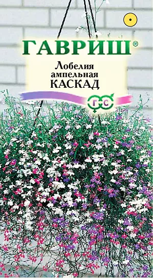 Семена Лобелия Каскад ампельная из каталога Лобелия Семена Лобелия Каскад ампельная.
Многолетнее травянистое растение из семейства Лобелиевые, культивируемое как однолетник. Побеги тонкие, стелющиеся, длиной до 40 см. Цветение обильное с июня до осени. Цветки синей, красной, рубиновой, белой окраски до 2 см в диаметре. Светолюбива, влаголюбива и холодостойка. Предпочитает рыхлые и умеренно плодородные почвы, в засушливый период необходим полив. Выращивают рассадным способом. Семена высевают в феврале-марте. Всходы появляются через 9-10 дней. Рассаду высаживают в открытый грунт во второй половине мая. Используется для посадки в подвесные кашпо и корзины, вазы, балконные ящики.