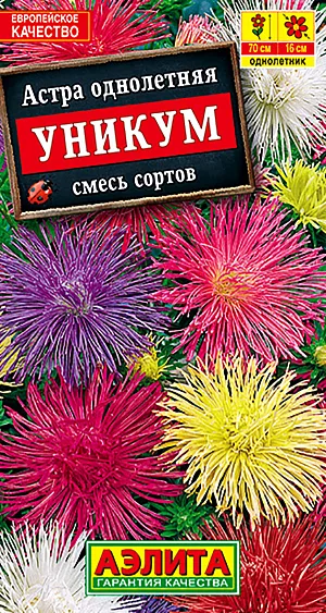 Семена Астра Уникум смесь окрасок.
Куст широкораскидистый, ветвистый, высотой растения 70 см. Соцветия плоской формы, махровые, очень изящные, 16 см в диаметре, чуть поникающие. Лепестки язычковых цветков ленточные, узкие. Используется на срезку.
Агротехника. Выращивают рассадным способом. С развитием первой пары настоящих листочков сеянцы пикируют. На постоянное место рассаду высаживают в возрасте 30-35 дней. Возможен посев семян в открытый грунт весной или под зиму, в конце октября. Растениям необходимы регулярные поливы, прополки, рыхления и подкормки.