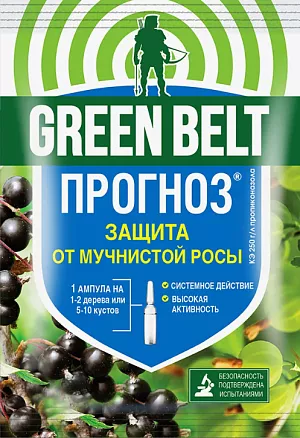 Прогноз от мучнистой росы