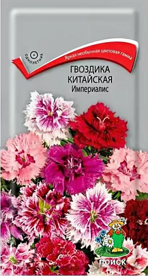 Семена Гвоздика Китайская Империалис из каталога Гвоздика Семена Гвоздика Китайская Империалис.<br>
<br>
Яркая необычная цветовая гамма. Компактные кустики высотой 20-40 см. У цветков лепестки окрашены в яркие контрастные цвета. Цветет с июня до осенних заморозков. Используется для посадки на клумбах, в бордюрах, массивах, группами, для озеленения балконов и на срезку.<br>
<br>
Агротехника. Неприхотливое холодостойкое растение, предпочитает солнечное местоположение, легкие плодородные почвы, обильный полив без застоя воды. Хорошо отзывается на подкормки минеральными и органическими удобрениями. Посев производят в конце марта – начале апреля в рассадные ящики, семена слегка присыпают легкой землей. При температуре +18-20°C время от посева до всходов 7-14 дней. Высаживают рассаду в открытый грунт, когда минует угроза заморозков, выдерживая расстояние между растениями 15 см.