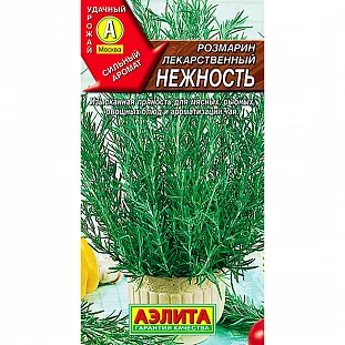 Розмарин Нежность Розмарин Нежность