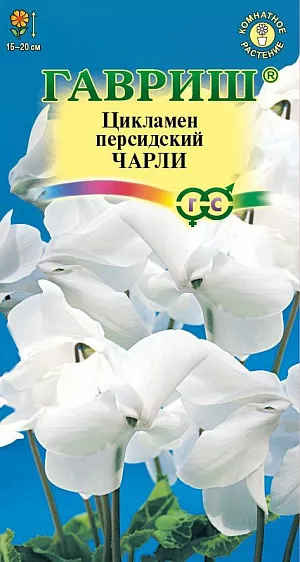 Семена Цикламен Чарли.<br>
 <br>
  Многолетнее клубневое растение семейства Первоцветные. Цветки очень ароматные, цветонос достигает длины 15 -20 см. Цветет с поздней осени до конца апреля, летом находится в состоянии покоя. Оптимальный срок посева конец августа. Семена перед посевом замачивают на сутки в теплой воде, а затем высевают в горшки с листовой и торфяной землей(1:1).Сверху семена присыпают слоем земли 0,5-1 см., обильно поливают, накрывают темной пленкой. При t 20°C всходы появляются через 30-40 дней. После появления всходов притенение снимают, температуру снижают до 15-17 °C. Когда образуются маленькие клубеньки с двумя листочками, пикируют в ящики со смесью из листовой, торфяной земли и песка (2:1:0,5). При пересадках у молодых растений верх клубенька должен находиться у самой поверхности почвы (не глубже 0,5 см.). У взрослых растений верх клубня обычно открыт. В период покоя сбрасывает листья.<br>
 <br>
  Выращивают на северных и восточных окнах, на южном притеняют от прямых солнечных лучей. Зимой содержат на светлом месте при температуре не выше 8 - 10 градусов. Летом необходимо выполнять приемы по поддержке роста растений: поливать исключительно через поддон, опрыскивать водой комнатной температуры, удобрять. Удобряют не более 2-3 раз за лето, преимущественно азотно-калийными удобрениями.<br>