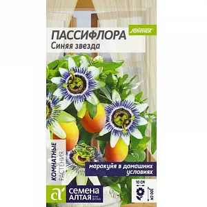 Семена Пассифлора "Синяя звезда".<br>
 Многолетнее лианообразное растение с крупными яркими цветками, в открытом грунте выращивается как летник. Высота растения достигает 300 см. Цветки с бело-зелеными лепестками и фиолетово-синей короной, состоящей из утонченных волнистых ниточек, достигают в диаметре 10 см. Используют для декорирования приусадебных участков, озеленения заборов, балконов, стен строений, также в качестве комнатного растения. Светолюбивое растение, требует яркое освещение, не боится даже прямых (но не слишком палящих) лучей. Летом растение держат в тепле, около +25°С, зимой – около +15°С. Предпочитает влажную почву, поэтому поливать следует обильно, до нескольких раз в неделю по мере просыхания грунта. Семена требует скарификации – необходимо нарушить целостность оболочки, потерев ее наждачной бумагой. Затем семена на 2 дня замачивают в теплой воде. Для посева используют смесь дерна и садовой почвы. Семена раскладывают на субстрате, не присыпая, а немного вдавливая их в землю, а затем проводят полив. После посева контейнер накрывают плёнкой и ставят на рассеянный свет при температуре +22-24°С. Высокая влажность – основное условие прорастания. После появления всходов укрытие убирают. С формированием первых настоящих листьев пассифлоры пикируют в собственные горшки со свежим грунтом. Растение нуждается в периодическом опрыскивании. Не слишком требовательно к составу грунта и хорошо растёт практически в любой в меру тяжёлой и плодородной земле, имеющей реакцию от слабокислой до слабощелочной. Подкормки следует проводить на протяжении всего периода роста – с марта до сентября; зимой наступает период покоя. Растение нуждается в ежегодных пересадках. Цветение длится с весны до осени, образует плоды.<br>
 <br>