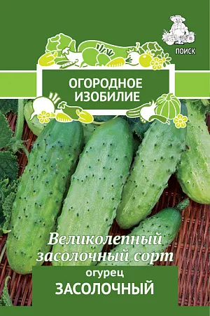Семена Огурец Засолочный