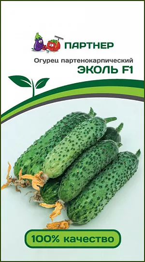 Семена Огурец Эколь F1