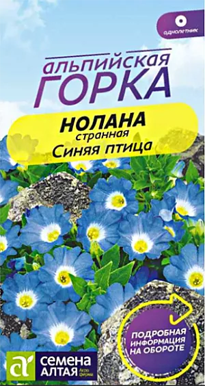 Нолана странная Синяя птица из каталога Разные Семена Нолана странная "Синяя птица".<br>
Однолетнее почвопокровное растение высотой около 10 см, иначе называемое чилийским колокольчиком. Ветвистые стелющиеся стебли быстро разрастаются, достигая длины 50-60 см, и способны покрыть за сезон около 1 кв. м. Листья темно-зеленые, цветки насыщенно-голубой окраски с белым зевом. Диаметр цветков около 4 см. Можно выращивать в подвесных кашпо, контейнерах и балконных ящиках, в рокариях и на альпийских горках. Цветёт обильно и продолжительно с середины июня до заморозков. Светолюбивое, довольно неприхотливое растение. Хорошо растет на слабокислых или нейтральных влагопроницаемых почвах. Подходит для выращивания на бедных каменистых грунтах.<br>
<br>
Семена на рассаду высевают с середины марта до начала апреля, сеют поверхностно, слегка заделывая легким грунтом. До прорастания поддерживают умеренную влажность почвы. При температуре воздуха +18C всходы появляются на 7-14 день. Сеянцы содержат при температуре +18C. В грунт высаживают в конце мая – начале июня, когда минует угроза возвратных заморозков, выдерживая посадочный интервал 25-35 см. Перед высадкой в открытый грунт рассаду закаливают. Молодые растения до цветения следует 2-3 раза подкормить комплексными удобрениями. Сильно вытянувшиеся побеги периодически прищипывают для сохранения формы и лучшего кущения.