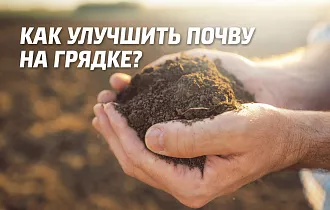 Как улучшить почву на грядке огорода и садовом участке Как улучшить почву на грядке огорода и садовом участке