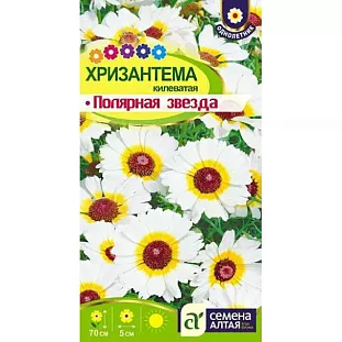 Семена Хризантема килеватая Полярная Звезда