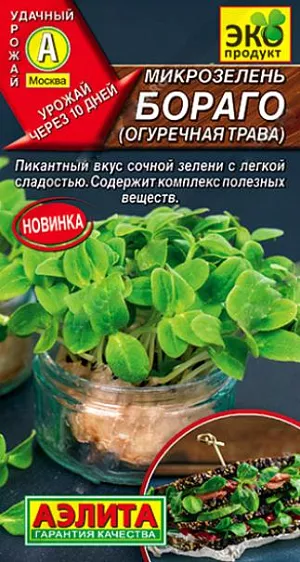 Семена Микрозелень Бораго огуречная трава