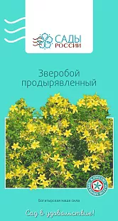 Зверобой Продырявленный 0,1гр Зверобой Продырявленный 0,1гр