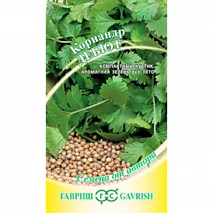Семена Кориандр Дебют