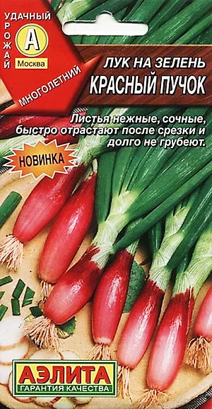 Лук на зелень Красный пучок