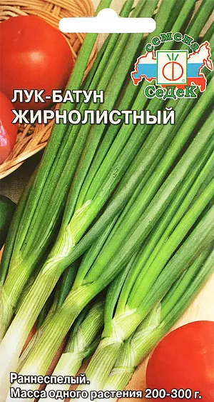 Семена Лук батун Жирнолистный