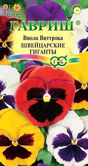 Семена Виола Швейцарские Гиганты Виттрока.
Неприхотливое популярное растение из семейства Фиалковые высотой 15 см. Цветет обильно и продолжительно с мая по сентябрь. 
Цветки крупные, 5-6 см в диаметре, разнообразной окраски. Влаголюбива, холодостойка, хорошо растет на солнце и в полутени.
Для получения растений, цветущих в год посева, семена высевают на рассаду в феврале-марте. Всходы появляются через 5-7 дней. 
В открытый грунт рассаду высаживают в конце апреля-начале мая на расстоянии 20 см. 
Растения хорошо переносят пересадку в цветущем состоянии. При посеве в открытый грунт в июне-июле, цветение наступает во второй год.
Используют для посадки на клумбы, рабатки, в балконные ящики и садовые вазы.