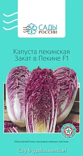 Семена Капуста пекинская Закат в Пекине F1 8шт