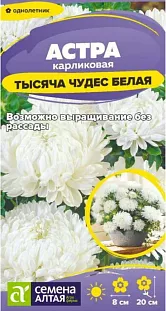 Семена Астра карликовая Тысяча чудес белая