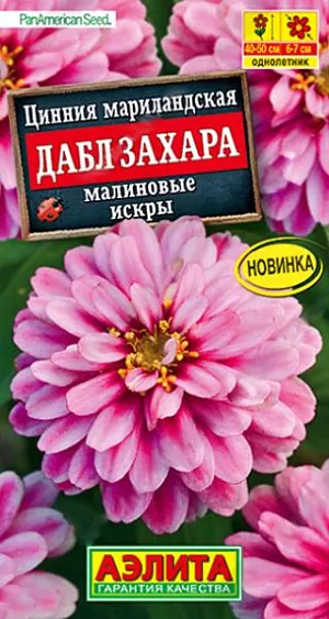 Семена Цинния Дабл Захара малиновые искры из каталога Цинния Семена Цинния Дабл Захара малиновые искры. 100% махровая! Роскошная цинния от американской компании PanAmerican Seed. Компактное растение, высотой 40-50 см, дает ошеломляющее количество ярких полностью махровых цветов 6-7 см. Соцветия долго сохраняют декоративность на растении, не боятся любых погодных условий. Серия цинний Дабл Захара рекомендуется для выращивания в клумбах, рабатках, в контейнерах и кашпо.<br>
Циннии – растения теплолюбивые, быстрорастущие, относительно засухоустойчивые. Предпочитают солнечные участки с дренированными почвами среднего плодородия, нейтральной кислотности. В южных регионах возможен безрассадный способ выращивания.<br>