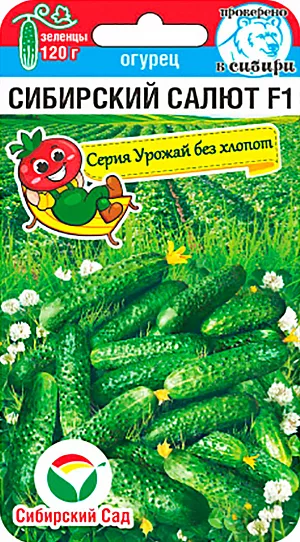Семена Огурец Сибирский салют Семена Огурец Сибирский салют
