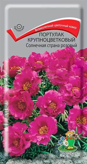 Семена Портулак Солнечная страна розовый крупноцветковый.
Великолепный цветочный ковер. Многолетнее растение, используемое как однолетнее. Образует кустик высотой 10 см. Розовые, похожие на розочки, махровые цветы, диаметром 3-4 см. Цветет с июня до заморозков. 
Агротехника. Растение предпочитает солнечные места и легкие супесчаные почвы. При выращивании рассады посевы проводят в марте. Семена слегка вдавливают в почву, землей не присыпают. Посадочную емкость накрывают стеклом и ставят в освещенное место. При температуре почвы +18°C всходы появляются на 7-14 день. Сеянцы содержат при умеренной температуре, избегая переувлажнения почвы. Рассаду высаживают в конце мая. Семена соответствуют требованиям международных стандартов и ГОСТу РФ 12260-81