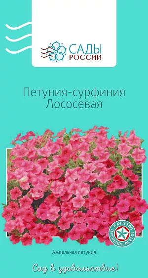 Петуния-сурфиния Лососевая из каталога Петуния Петуния-сурфиния Лососевая
Сейчас сурфинии выделяются в отдельную группу как особо крупные, мощные, с длинными побегами петунии. Их гофрированные цветки устойчивы к непогоде, неблагоприятному водному режиму. Любители собак говорят: «Есть собаки, и есть таксы». Любители цветов говорят: «Есть петунии, и есть сурфинии».