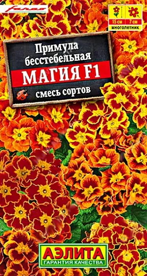 Семена Примула Магия F1.  Кустики компактные, высотой 12-15 см. Цветки диаметром 6-7 см. собраны в пышные соцветия. Цветение обильное и дружное. Растения отличаются устойчивостью к дождю и ветру, сохраняя декоративность. Прекрасно смотрятся в бордюрах и рабатках, подходят для выращивания в горшках и садовых вазах. Рекомендуется профилактическое укрытие растений на зиму.<br>
 <br>
 Емкость с посеянными семенами на две недели поставьте в холодильник (желательно в морозильное отделение) для стратификации. В фазе одного настоящего листа сеянцы пикируют.<br>