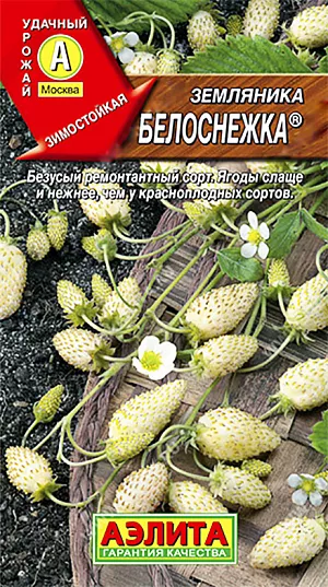 Семена Земляника (клубника) Белоснежка ремонтантная
