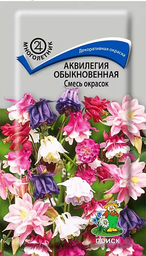 Аквилегия обыкновенная Смесь окрасок из каталога Аквилегия Семена Аквилегия обыкновенная Смесь окрасок. Очень декоративная разновидность с цветками разнообразной окраски. Растение высотой до 80см, с раскидистой формой куста, 40-50 см в поперечнике. Листья дважды тройчато-рассеченные, сизоватые. Цветки 3-4 см в диаметре. Цветет в июне — июле. Используют для посадок группами на клумбах, в травянистых бордюрах, на срезку.<br>
Агротехника. Нетребовательное растение, но наибольшей декоративности достигает при выращивании в полутенистых местах и на легких, достаточно влажных почвах. Семена высевают в конце апреля - мае непосредственно в грунт. При температуре почвы +15-18°С всходы появляются через 20-30 дней. Расстояние между растениями 30-40 см.