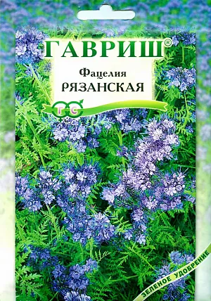 Семена Фацелия Рязанская.
Однолетнее растение с ветвистым стеблем, высотой 50-100 см. Цветет с середины лета в течение 45 дней.
Отличный медонос и ценная сидератная культура. Фацелию высевают на солнечных участках с бедными почвами, с последующим заделыванием. 
Декоративна в пору цветения и хорошо подойдет в качестве фонового растения, прекрасно выглядит отдельной куртиной или в сочетании с другими летниками.