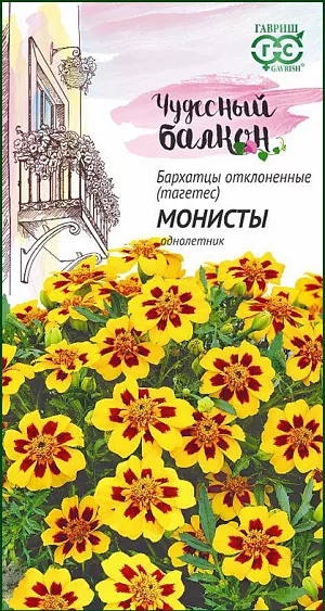 <div>
 Семена Бархатцы отклоненные Монисты.
</div>
Неприхотливые и надежные бархатцы с их яркими солнечными тонами «оживят» колорит балконных цветников, их цветение будет продолжаться все лето до глубокой осени. Высотой эти однолетники до 30 см., сильно ветвистые от основания. Соцветия до 4 см. в диаметре, простые, очень красивые, светло-желтого тона с яркими коричневыми «сигналами» у основания лепестков. Растения засухоустойчивы, тепло- и светолюбивы, выносят затенение. Для раннего цветения выращивают через рассаду, высевая в конце марта-начале апреле. Всходы появляются на 5-10 день. В мае растения высаживают на балкон. Цветут с июня до заморозков. Они хорошо растут в горшках, вазонах, балконных ящиках, в сочетании с агератумами, лобелией, сальвией, цинерариями.