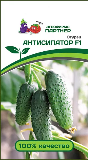 Семена Огурец Антисипатор F1