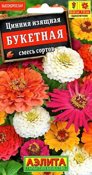 Семена Цинния Букетная смесь сортов.
Яркая, обильноцветущая смесь популярного быстрорастущего однолетнего растения. В её состав входят различные по высоте циннии (от 40 до 90 см в высоту) с разнообразными расцветками и формами соцветий-корзинок. Цветение раннее и продолжительное. Растения теплолюбивые, засухоустойчивые, предпочитают солнечные места, хорошо переносят воздействие непогоды. Для продления цветения отцветшие корзинки удаляют. Используются на клумбах, в рабатках и цветниках, великолепно смотрятся в групповой посадке. Отличный материал для срезки. Агротехника. Выращивают рассадным способом. С развитием первой пары настоящих листочков сеянцы пикируют. В фазе 5-6 листьев проводят формирующую прищипку. Рассаду высаживают в открытый грунт, когда минует опасность заморозков. Растениям необходимы регулярные поливы, прополки, рыхления и подкормки. Возможен посев семян в открытый грунт на глубину 1 см