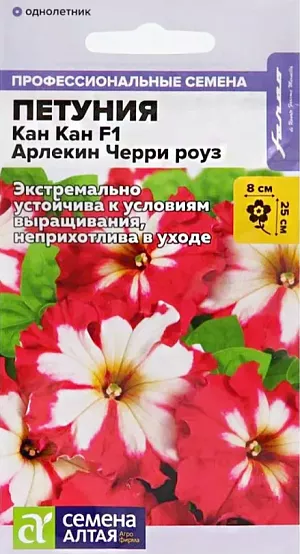 Семена Петуния Кан Кан Арлекин Черри роуз крупноцветковая F1.<br>
 <br>
 Новая превосходная крупноцветковая петуния с бархатными кружевными цветами. Компактные растения высотой до 25 см. с яркими, похожими на звезды цветками красно-белой окраски диаметром 8-10 см. Устойчива к неблагоприятным погодным условиям. Незаменима для оформления клумб, рабаток, а так же балконных ящиков, подвесных корзин и кашпо.<br>
 <br>
Семена на рассаду сеют с конца февраля, не заделывая землей, а просто накрывая ящики стеклом. Пока всходы мелкие, их лучше не поливать, а опрыскивать и давать подсветку. На открытом воздухе продолжают выращивание с конца мая. Возможно сохранение растений в зимний период в комнатных условиях.