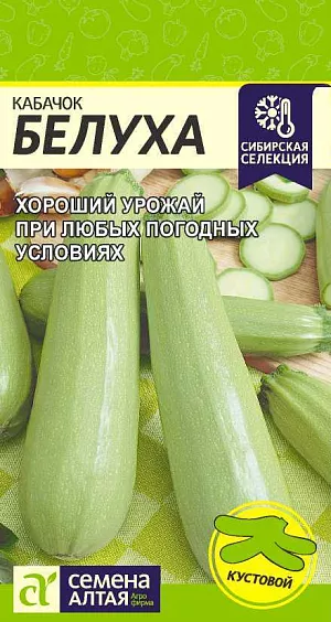 Семена Кабачок Белуха Семена Кабачок Белуха