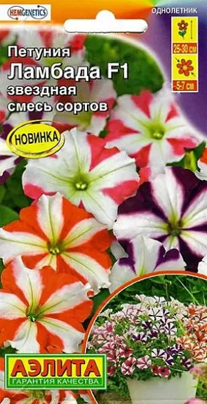 Семена Петуния многоцветковая Ламбада звездная F1 из каталога Петуния Семена Петуния многоцветковая Ламбада звездная F1. Гибриды на протяжении всего вегетационного периода сохраняют правильную форму, представляя собой компактный кустик, высотой 25-30 см, полностью усеянный большим количеством цветков. Цветы, диаметром 5-7 см, поражают восхитительной окраской и пышностью цветения. Прекрасный материал для цветников, рабаток и бордюров в саду, где петуния образует сплошной ровный ковер. Красиво и аккуратно смотрится в подвесных корзинах, горшках и балконных ящиках.